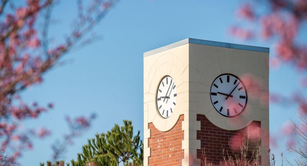 clock tower in spring